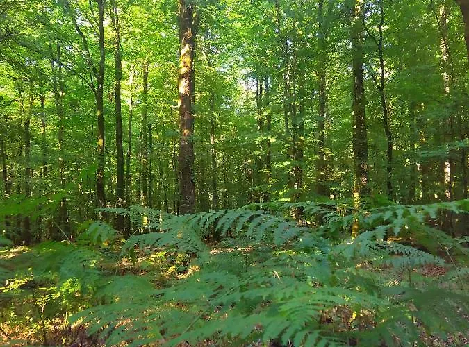 Clos Feburon, Entre Mer Et Foret Apartamento *